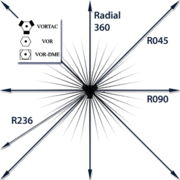 Radiale b.gif